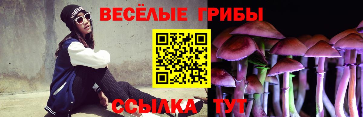 Псилоцибиновые грибы Cubensis  Вход с VPN  Красноярск 